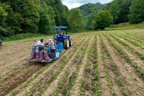 Farmers harvest crops with the help of a tractor in Western North Carolina.