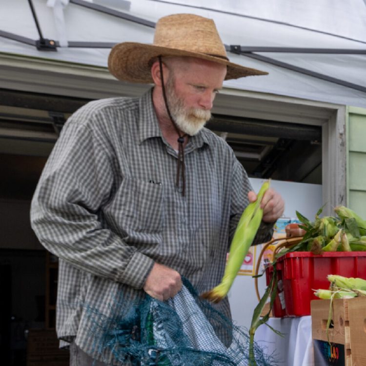 person boxing up vegetables